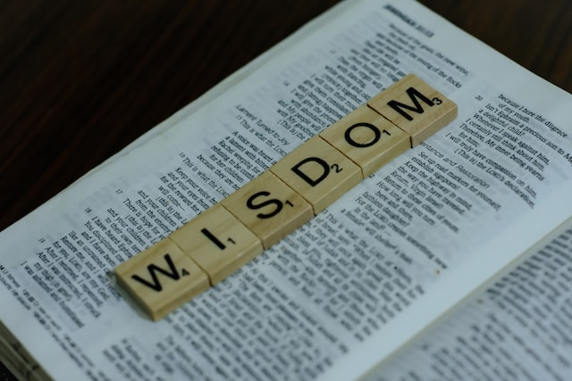 Picture of the words "wisdom" on wooden tiles