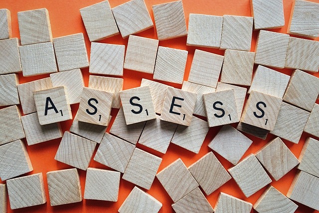 Picture of wooden tiles reading the the word "assess" 
