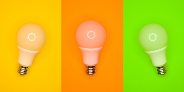 picture of LED bulbs