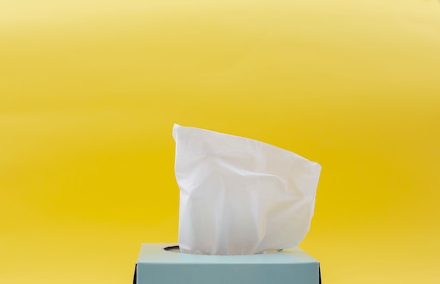 picture of a tissue in a box