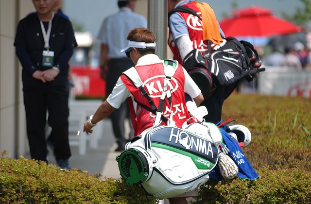 picture of a caddie 