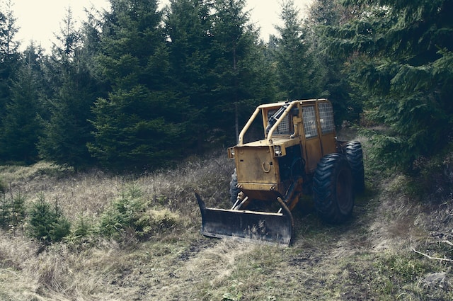 picture of a bulldozer
