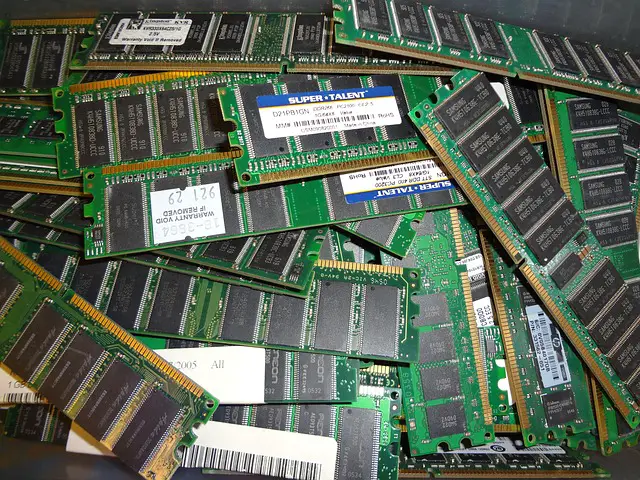 picture of RAM's