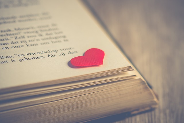 picture of a small heart shaped figure on a book depicting an infatuation 