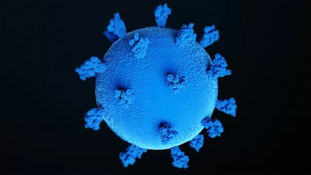 While these viruses do not typically cause serious illness in their host animals, they can be deadly to other species.