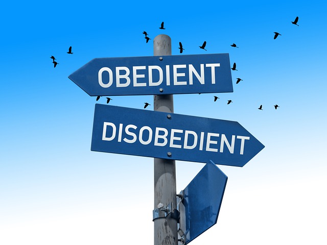 picture of sign boards having captions "obedient" and "disobedient" 