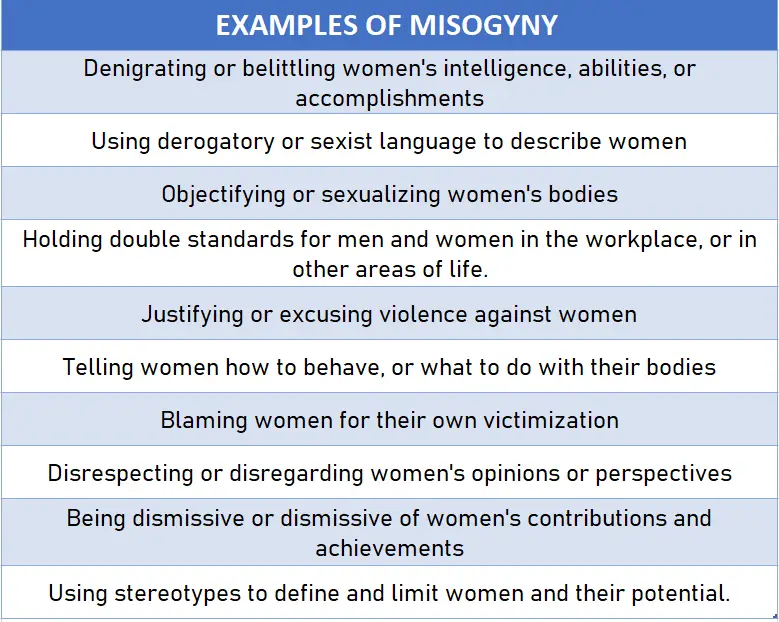 Table containing details about examples of misogyny 