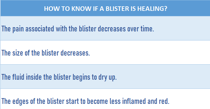 Table containing information on whether a blister is healing