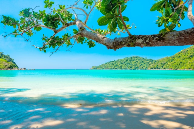 Picture of a tropical beach 
