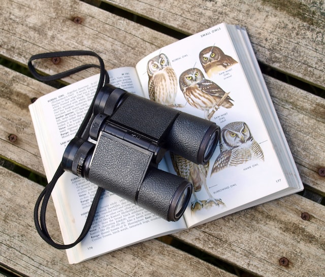 Picture of a binoculars 