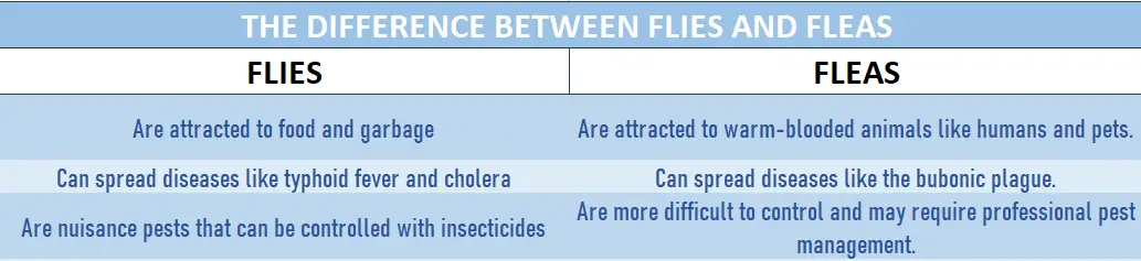 Table containing information about the differences between flies and fleas