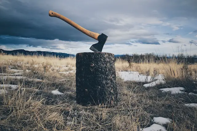 A picture of an axe