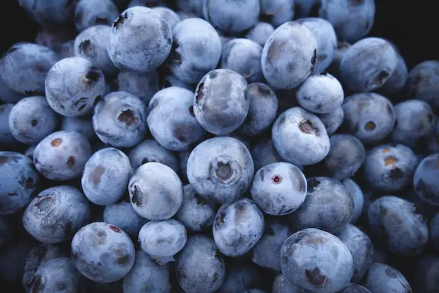 Picture of blueberries 