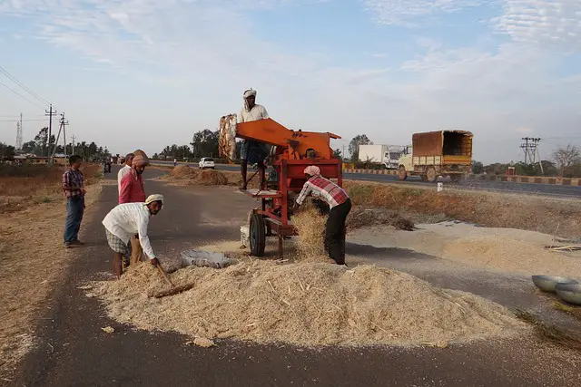 Picture of farmers winnowing their grain