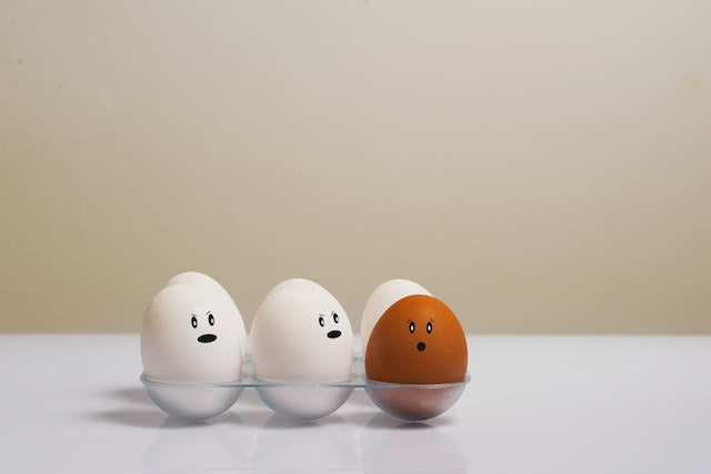 Picture of a bowl of eggs with 3 white and one brown one depicting discrimination