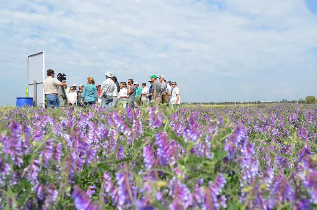 a group of people in an open field engaged in field research