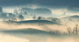 Picture of a hillside covered in fog