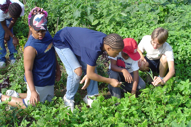 Picture of some children involved in community gardening 