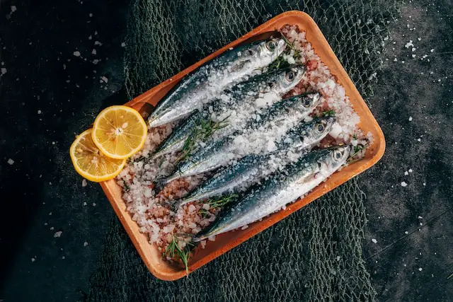 Pictures of some sardines 