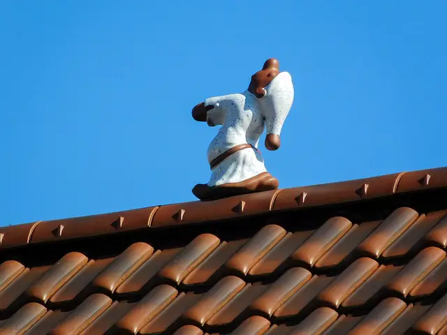 Picture of a sleepwalking figure on top of a roof