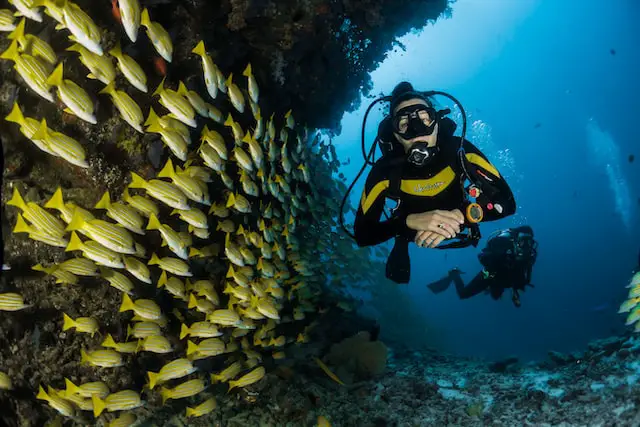 Picture of a person scuba diving