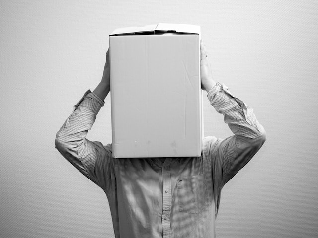 Picture of a person with a box over his head