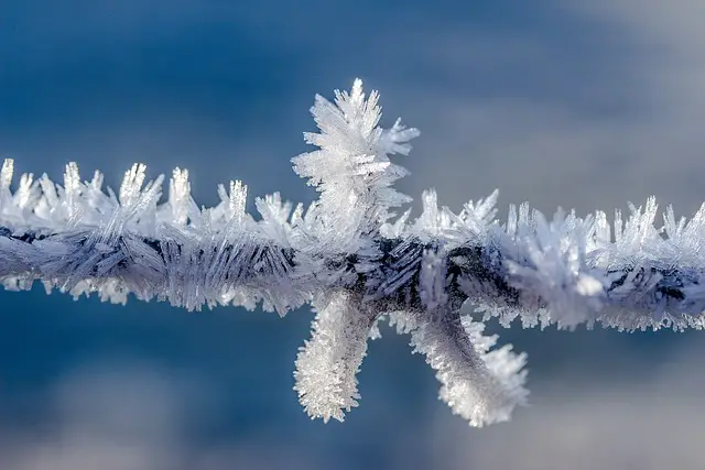 Picture of rime ice