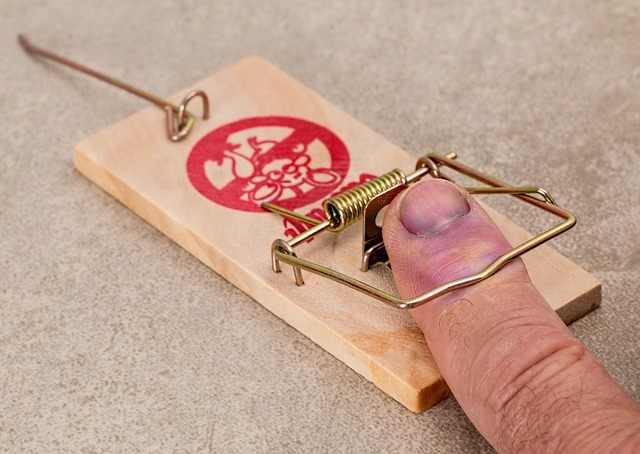 Picture of a persons finger caught in a mouse trap