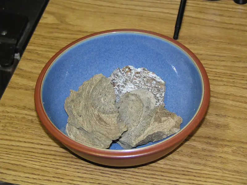 Picture of ambergris