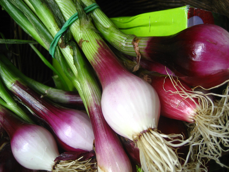 Picture of spring onions
