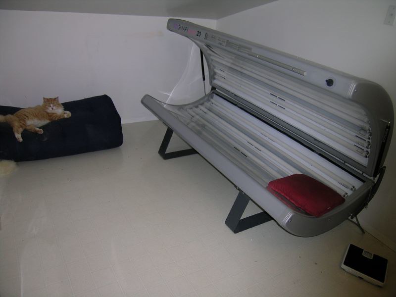 Picture of a tanning bed