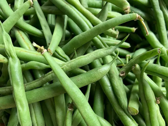 Picture of green beans
