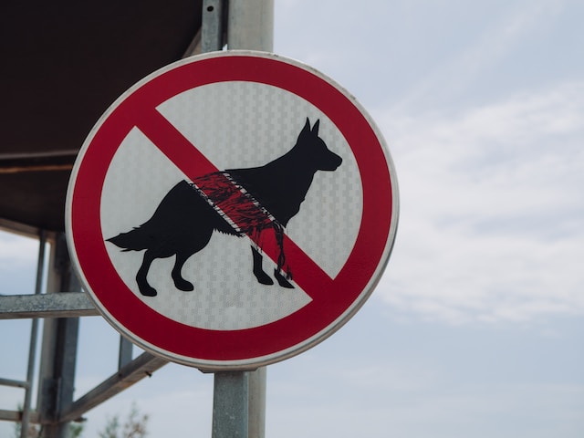 Picture of a "No-Dogs" sign
