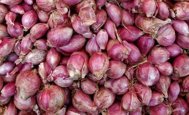 Picture of shallots 
