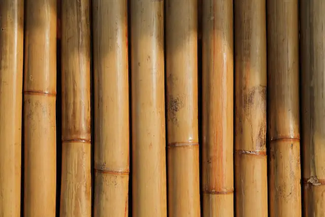 Picture of Bamboo sticks 