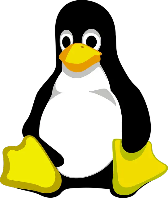 Picture of the linux logo