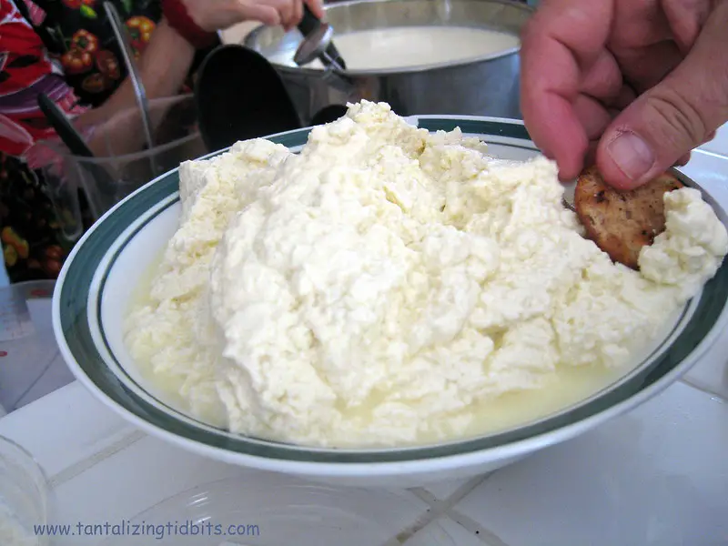 Picture of a plate of homemade ricotta cheese