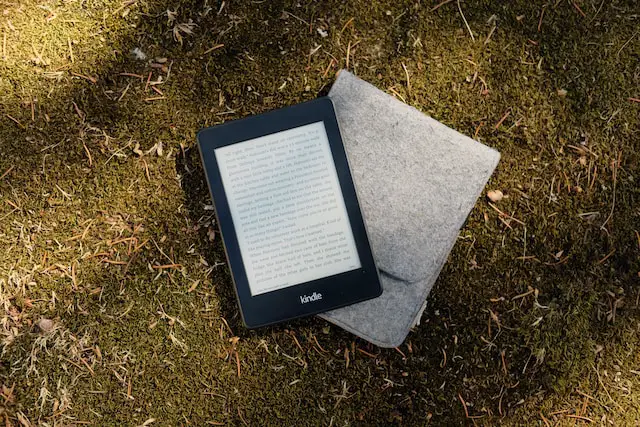 picture of a kindle device 