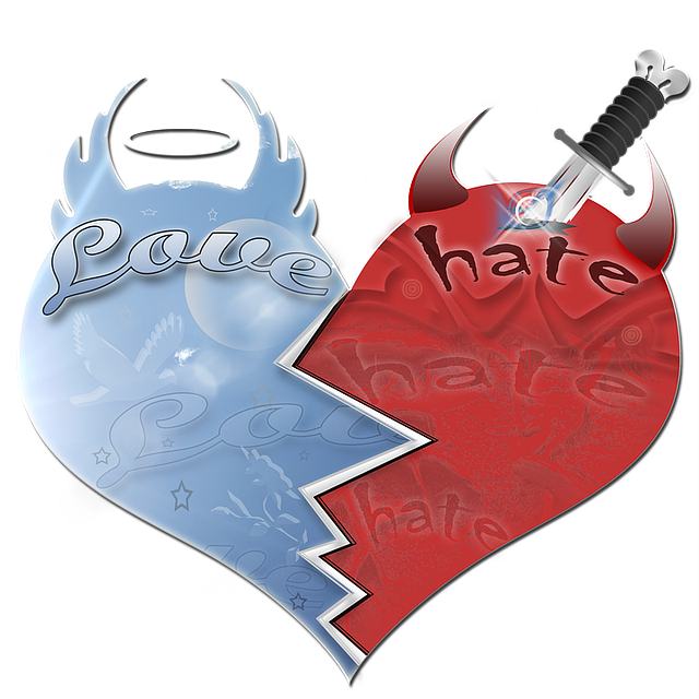 picture of heart divided to portray love and hate