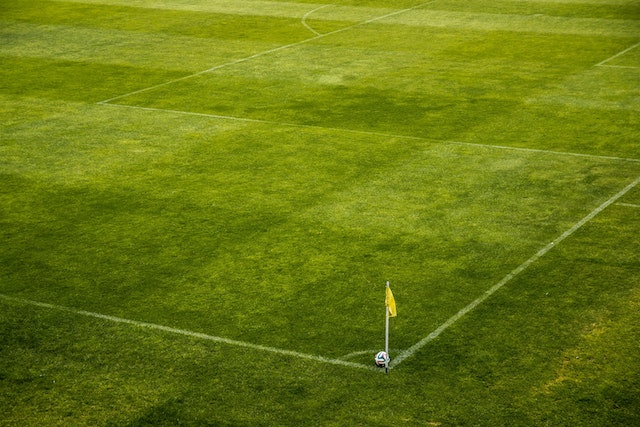 picture of a playing turf