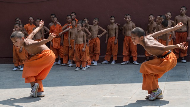 picture of monks practicing kung fu