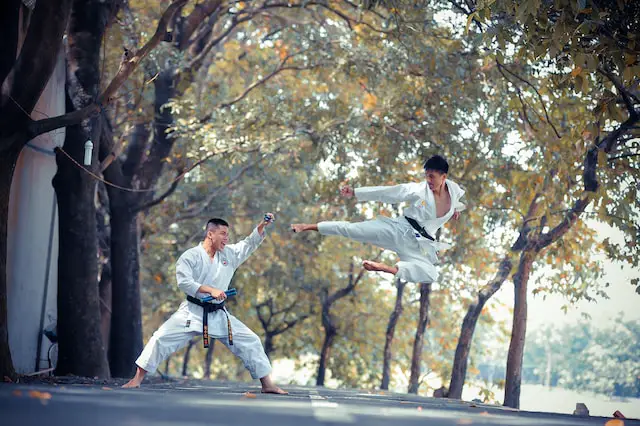 picture of two karate fighters 