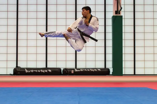 picture of a person practicing martial arts