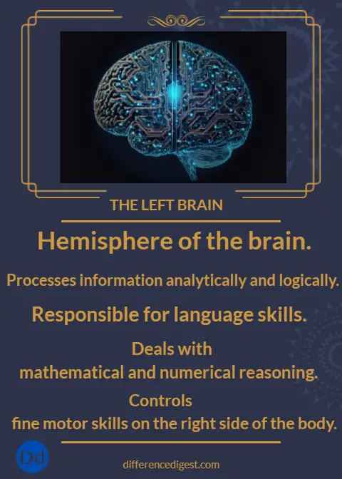 picture of points of the left brain