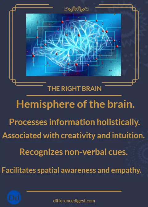 picture of points of the right brain