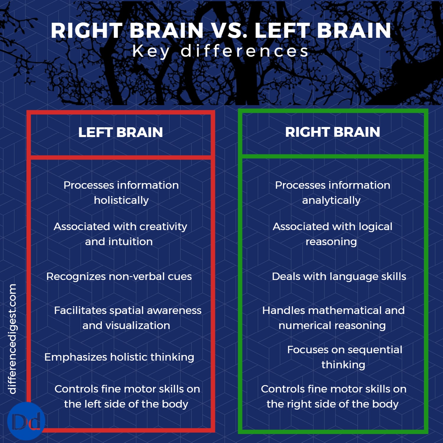 picture of key differences between right brain and left brain