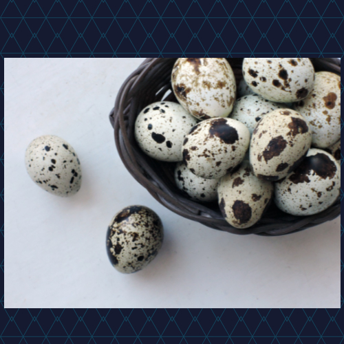 picture of quail eggs