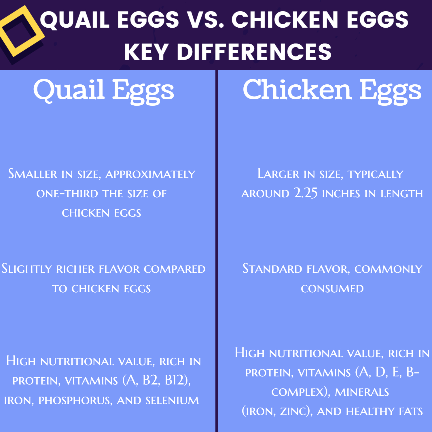 picture of quail eggs vs chicken eggs key differences 