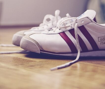 picture of the adidas gazelle 