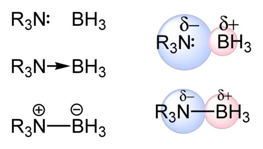 picture of Changes in bond polarity and atomic charges during the formation of amine boranes, R3N-BH3.
